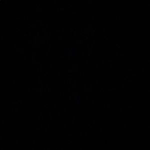 Meet your Posher, Ilona